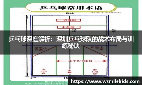 乒乓球深度解析：深圳乒乓球队的战术布局与训练秘诀
