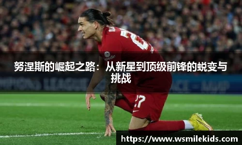 努涅斯的崛起之路：从新星到顶级前锋的蜕变与挑战