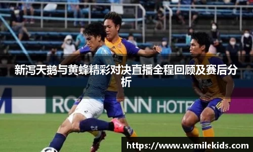 新泻天鹅与黄蜂精彩对决直播全程回顾及赛后分析