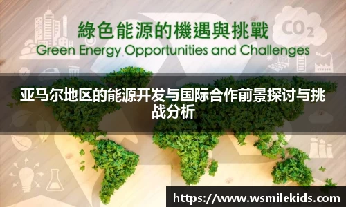 亚马尔地区的能源开发与国际合作前景探讨与挑战分析