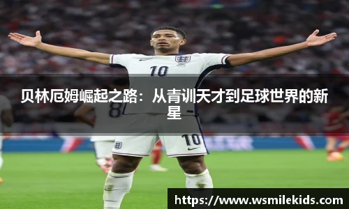 mk体育